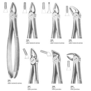 Extracting Forceps